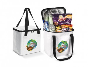Arctic 12-Can Cooler
Code: COOL-5080